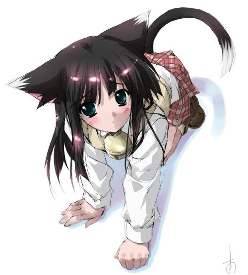  (500x556, 34Kb)