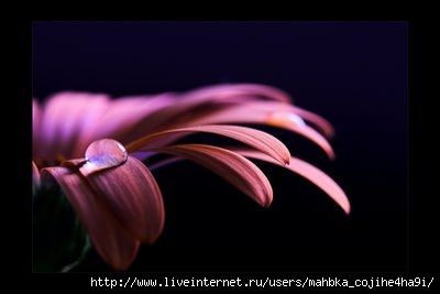  (400x267, 35Kb)