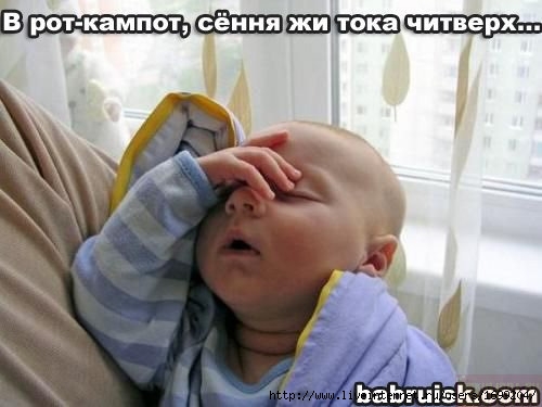  (500x375, 43Kb)