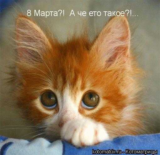  (510x493, 27Kb)