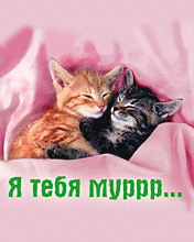  (176x220, 19Kb)