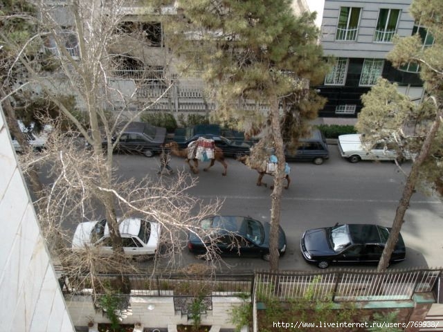  (640x480, 83Kb)