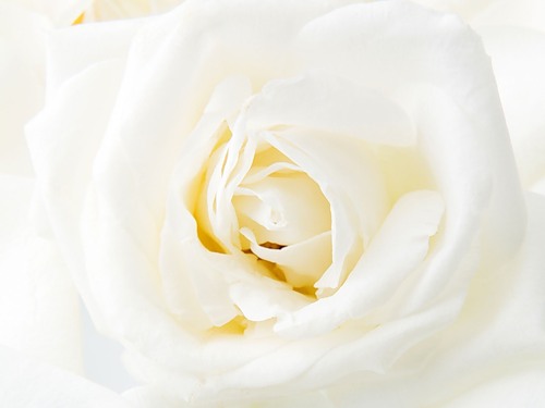  (500x375, 19Kb)