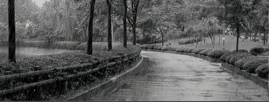 828343_liven (551x210, 196Kb)