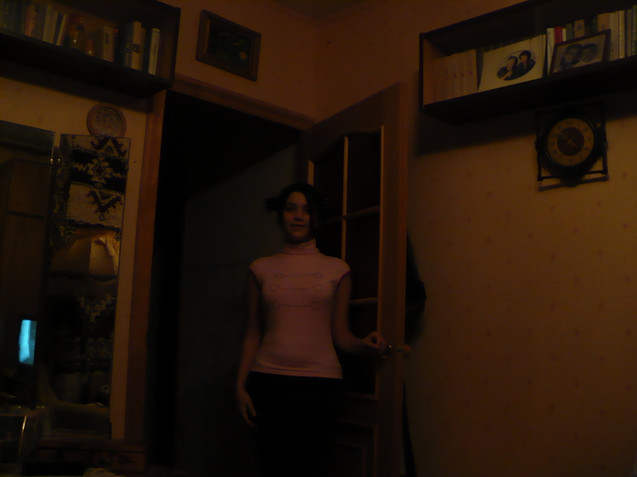 P1000221 (700x525, 160Kb)
