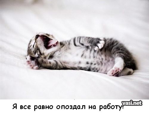  (500x378, 28Kb)
