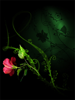 Mysterious (240x320, 44Kb)