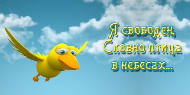 Словно птица в небесах