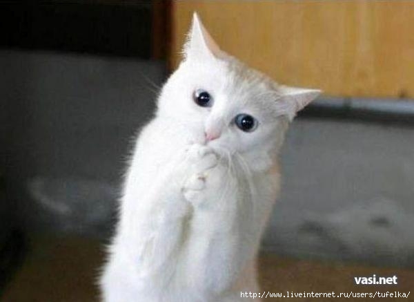  (600x437, 19Kb)