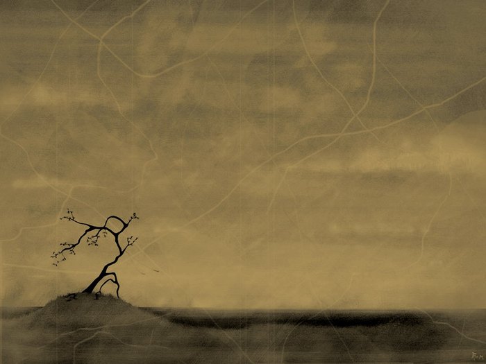  (700x525, 47Kb)
