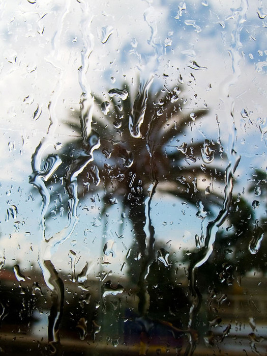 Rain (525x699, 149Kb)