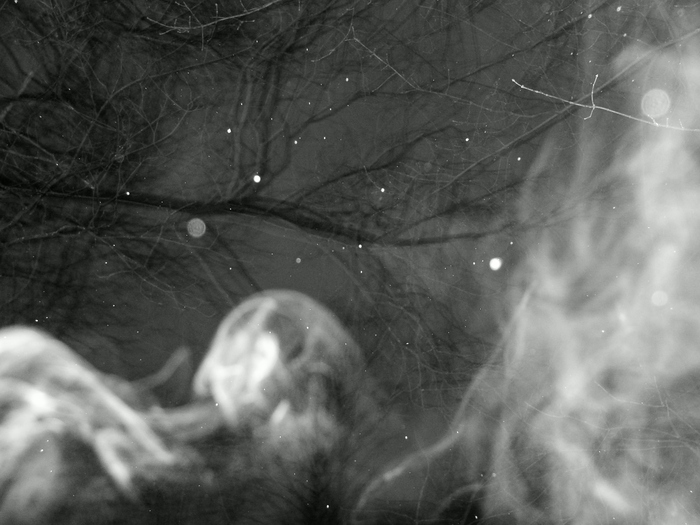  (700x525, 154Kb)