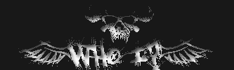  (333x100, 8Kb)