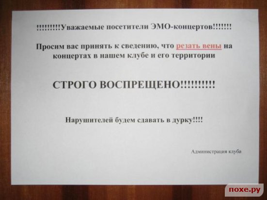 http://img1.liveinternet.ru/images/attach/b/3/22/266/22266550_1170766621_311c38e6407bb9e6992e53922a273b4e.jpg