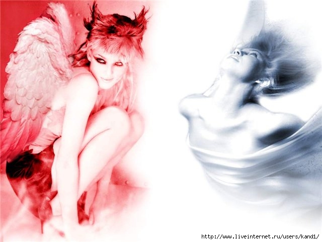  (640x480, 42Kb)