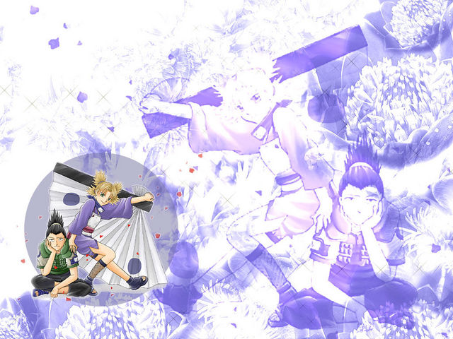  (640x480, 83Kb)