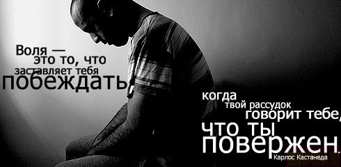  (490x240, 32Kb)