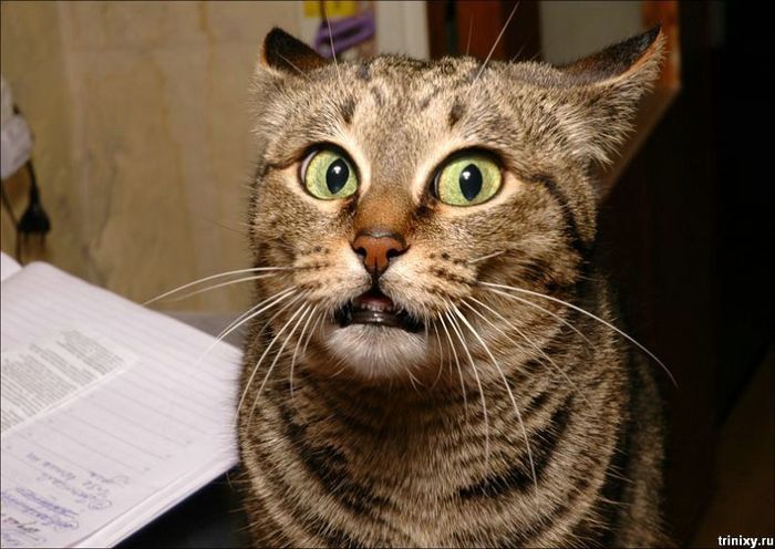  (700x496, 62Kb)