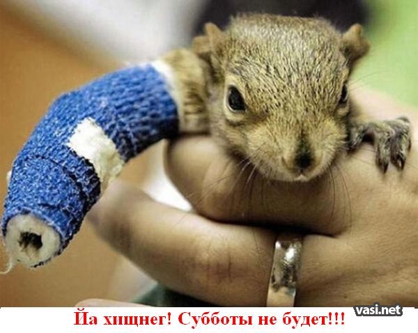  (600x478, 62Kb)