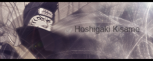  (300x120, 61Kb)