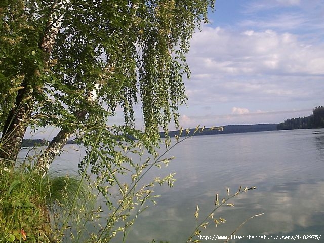  (640x480, 244Kb)