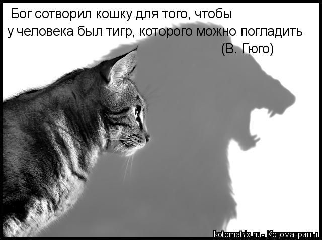 http://img1.liveinternet.ru/images/attach/b/3/22/861/22861486_img_3434028_2_4.jpg