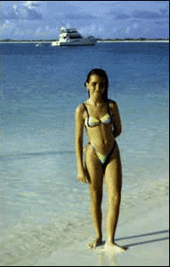 (191x300, 23Kb)