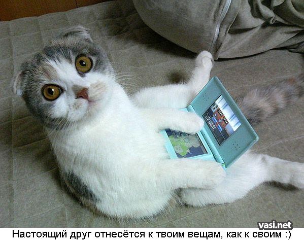  (599x477, 77Kb)