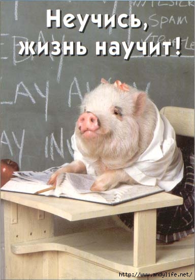  (384x550, 104Kb)