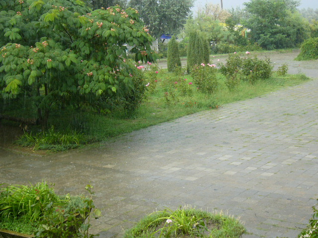  (640x480, 148Kb)