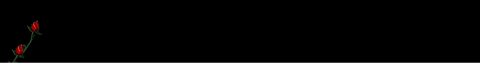 0dc60280533d (700x94, 19Kb)