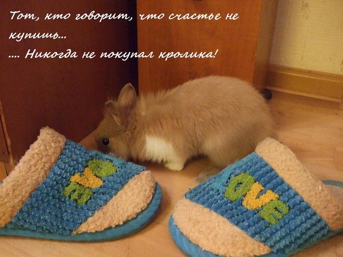  (700x525, 56Kb)