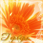  (150x150, 43Kb)