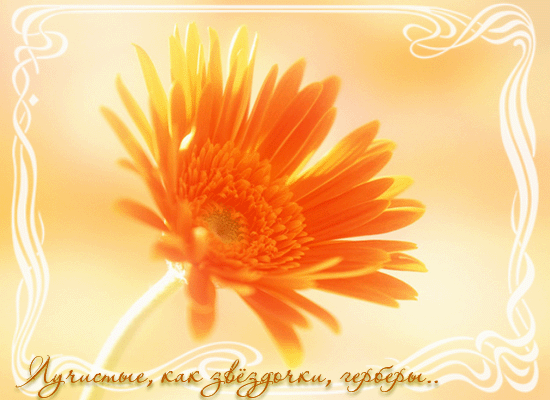  (550x400, 120Kb)