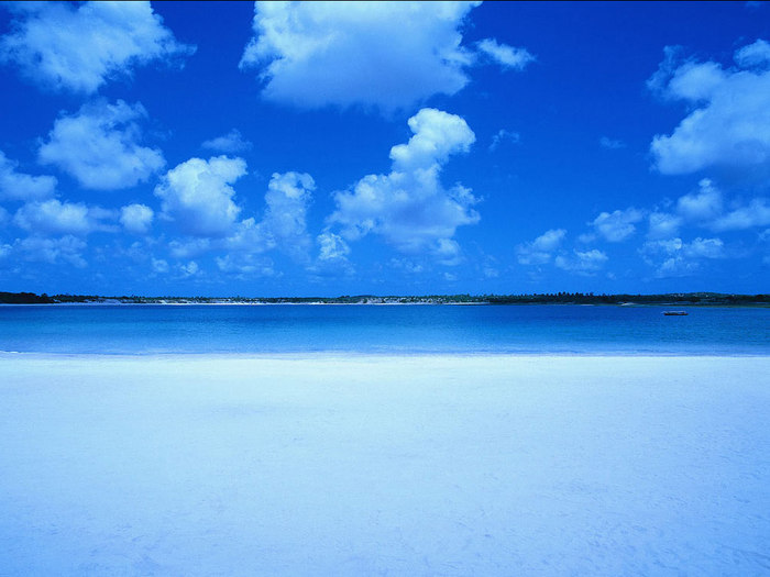 25392044_10211621 (700x525, 71Kb)