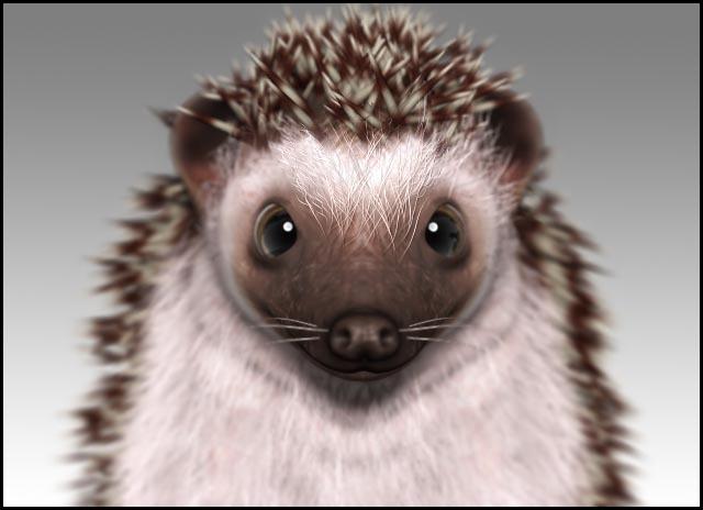 9360768_hedgehogpassportphoto8fa (640x464, 39Kb)