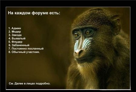  (450x305, 35Kb)