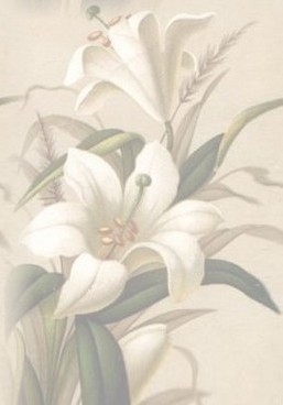 10621501_0111[1] (257x368, 16Kb)