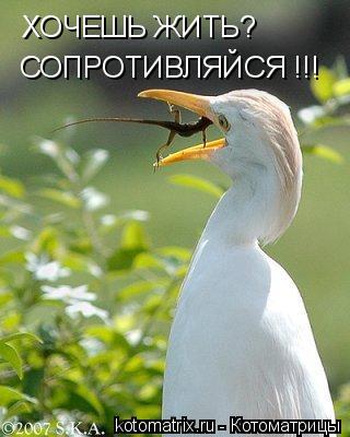 http://img1.liveinternet.ru/images/attach/b/3/28/211/28211461_5R.jpg