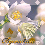  (150x150, 49Kb)