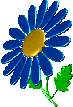  (73x107, 10Kb)