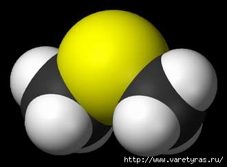 1215452735_800pxdimethylsulfide3dvdw (330x243, 6Kb)