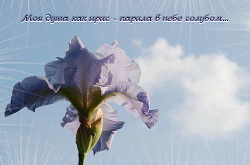  (500x330, 185Kb)