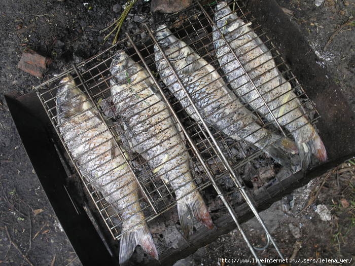 Как приготовить рыбу на мангале на решетке рецепт с фото