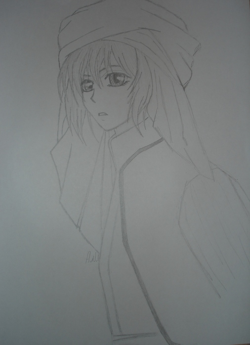 DSC00273 (506x698, 86Kb)