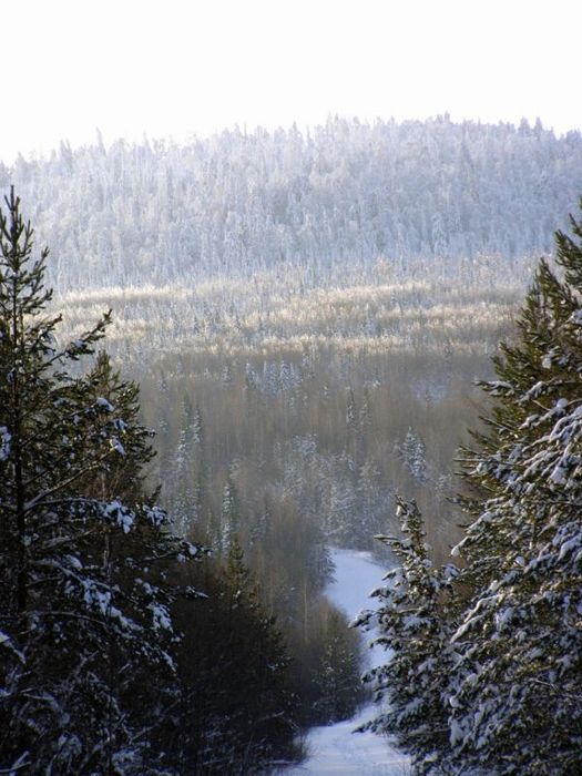 Висимский заповедник фото