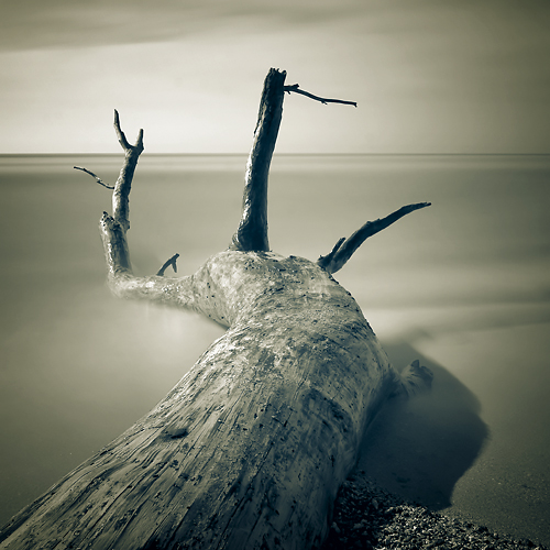  (500x500, 201Kb)