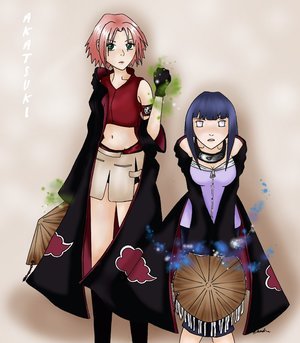  (300x343, 23Kb)