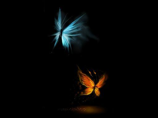 28926029_0000000076 (512x384, 9Kb)