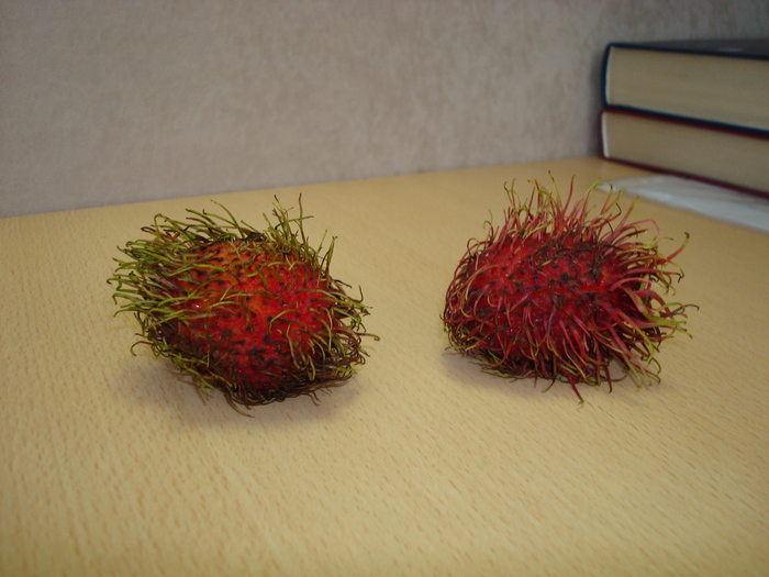 DSC00715 (700x525, 156Kb)